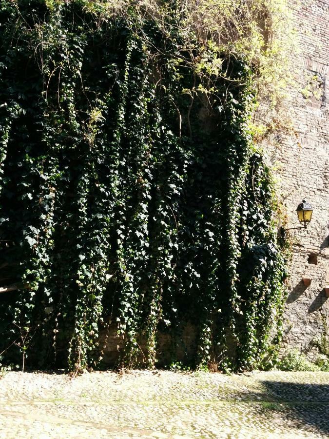 Honey House Parma Daire Dış mekan fotoğraf